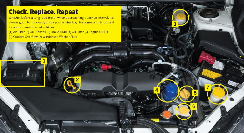 Fluids The Ultimate Guide to Performance Maintenance